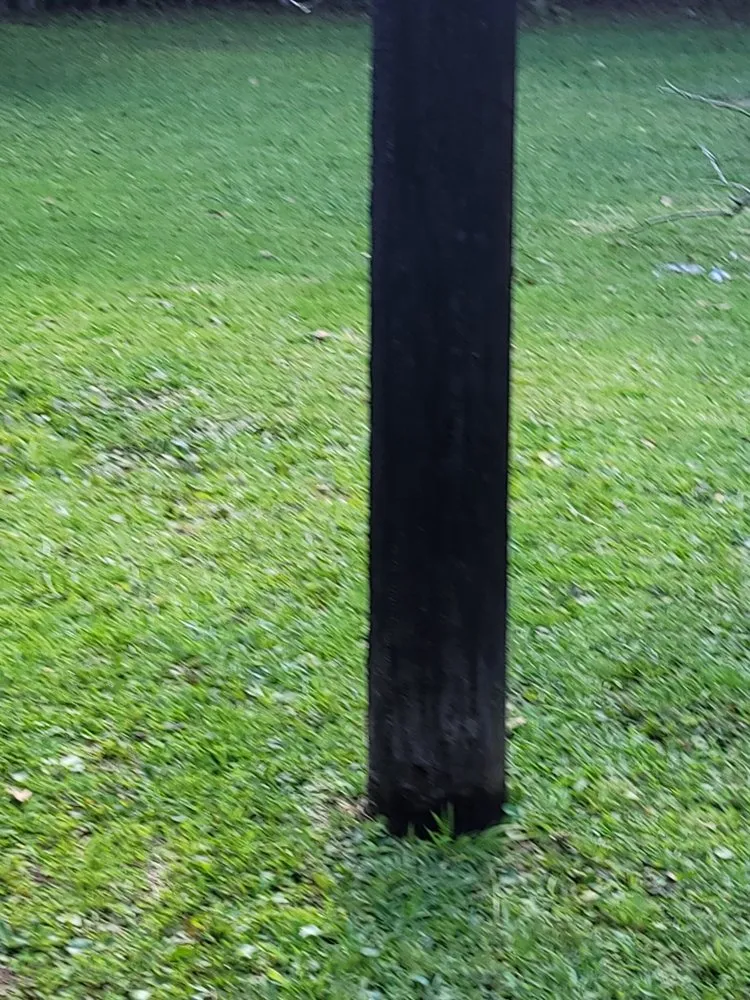 Expert yard maintenance in Mobile, AL by Double Trouble Lawn Care