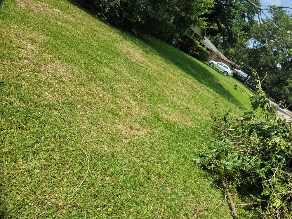 Reliable outdoor landscaping in Mobile, AL by Double Trouble Lawn Care