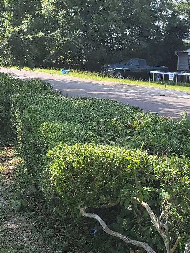 Custom yard cleanup service with custom design in Mobile, AL by Double Trouble Lawn Care