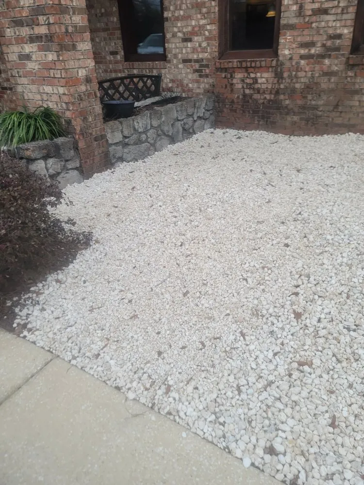 Reliable yard cleanup service near you in Mobile, AL by Double Trouble Lawn Care