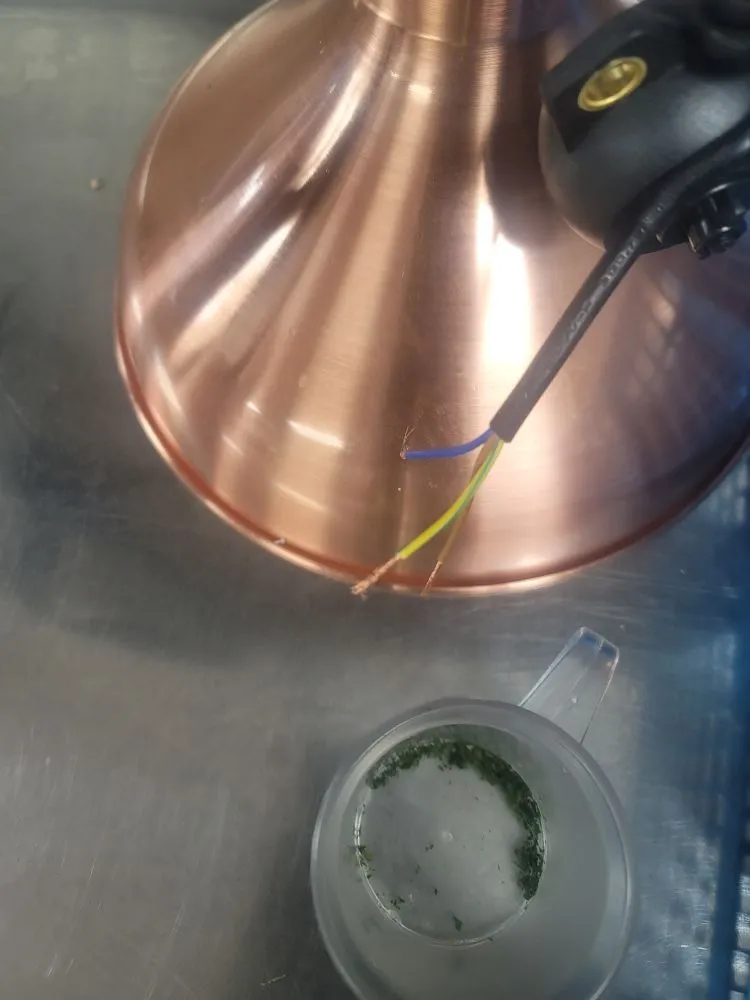 Custom lawn care service for homes in Mobile, AL by Double Trouble Lawn Care