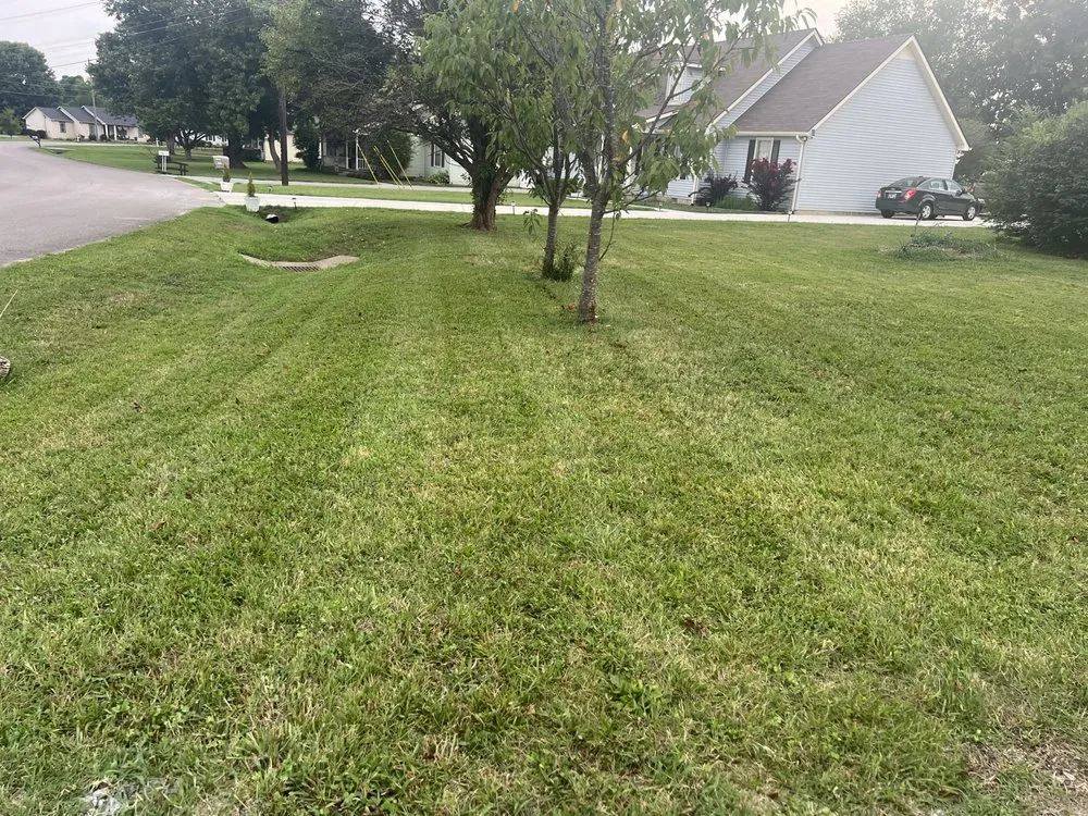 Top-rated garden landscaping for homes in Murfreesboro, TN by Double Trouble Lawns