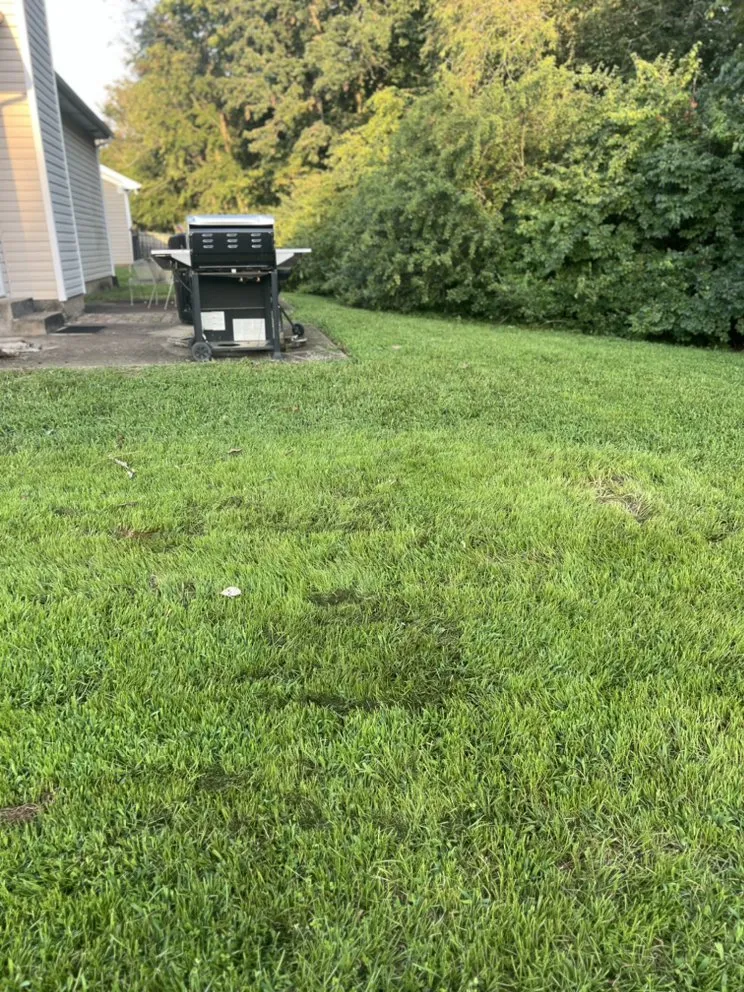 Expert outdoor landscaping for beautiful yards in Murfreesboro, TN by Double Trouble Lawns