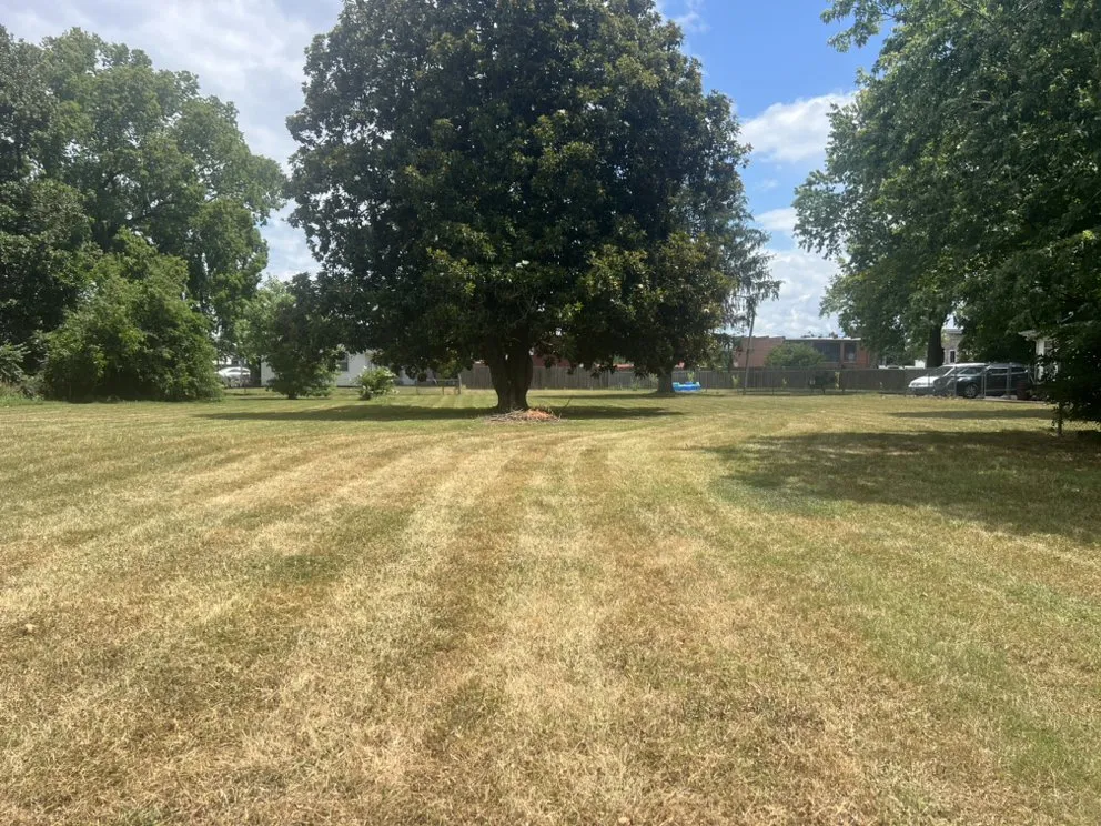 Reliable landscape design in Murfreesboro, TN - Double Trouble Lawns