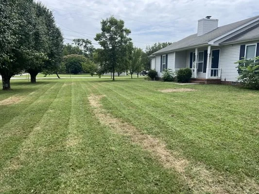 Double Trouble Lawns Logo