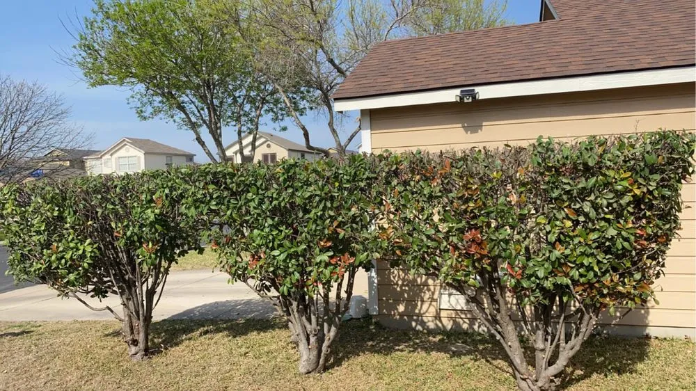 Affordable lawn mowing service for homes across San Antonio, TX - Doubled AA Design Landscaping