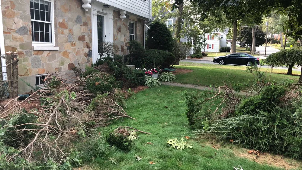 Affordable residential landscaping experts serving Mansfield, MA - Doug & Jeff Landscaping