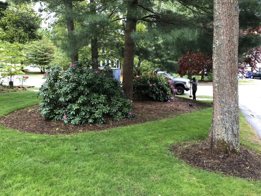 Expert landscape design in Mansfield, MA by Doug & Jeff Landscaping