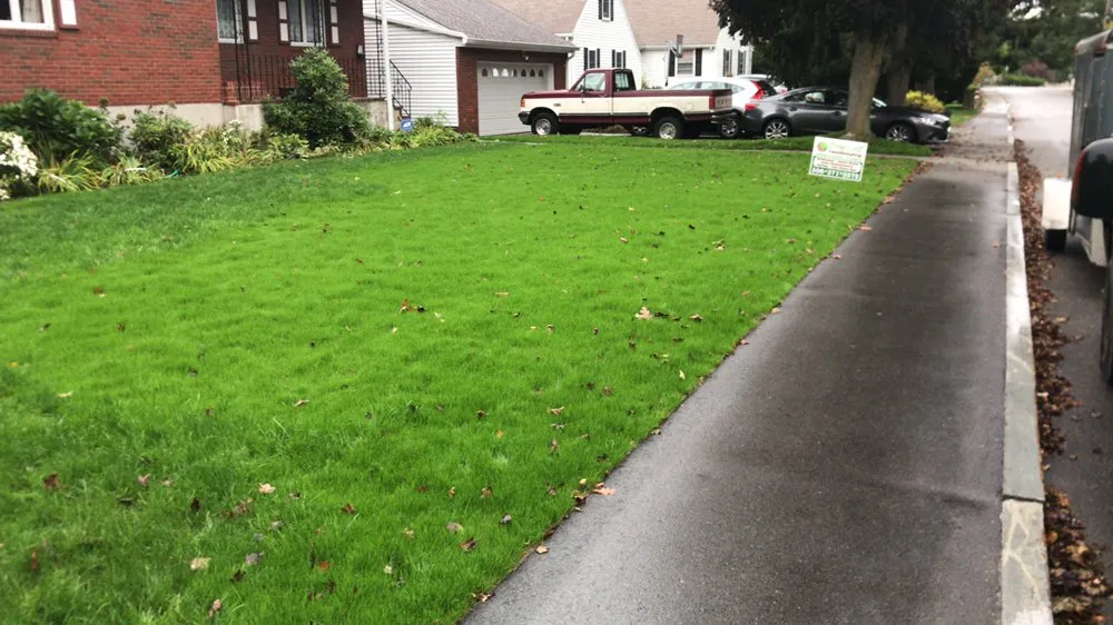 Reliable lawn care service in Mansfield, MA by Doug & Jeff Landscaping