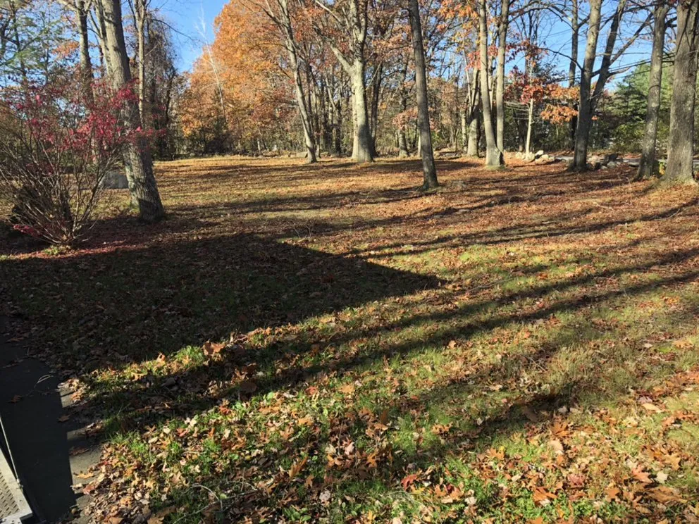 Local yard maintenance in Mansfield, MA by Doug & Jeff Landscaping