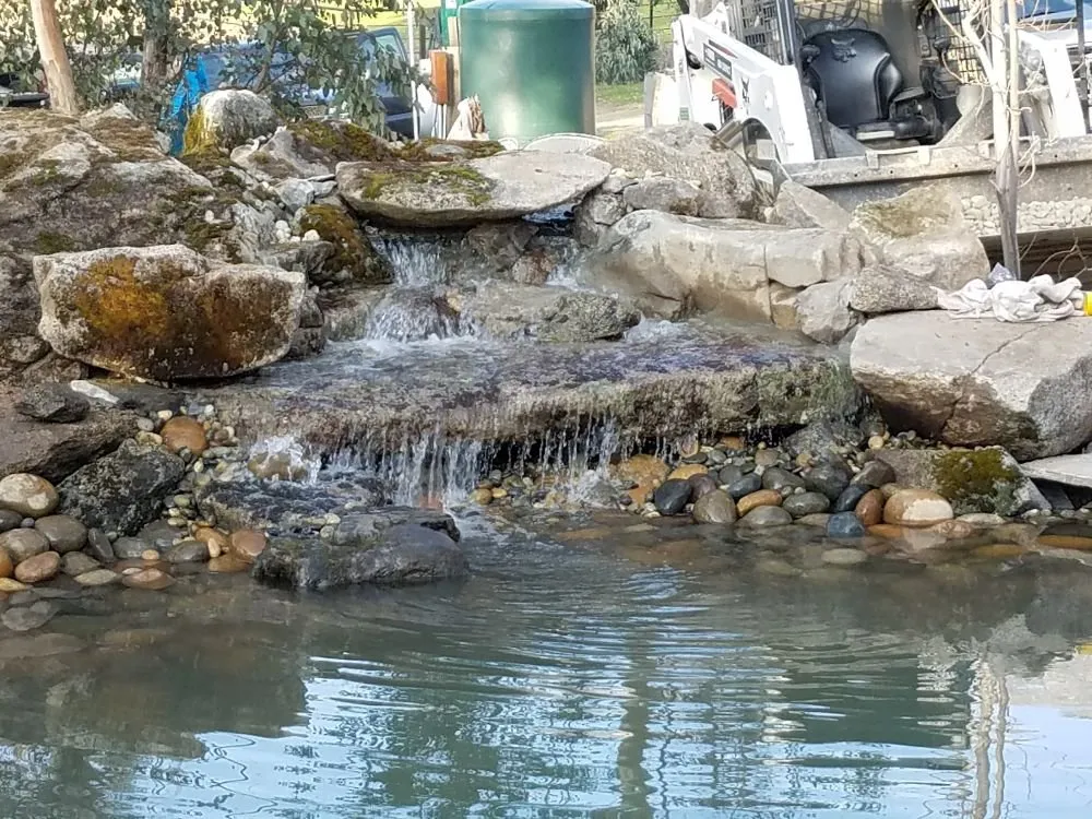 Affordable lawn care service for homes in Fresno, CA by Doug Fluter Landscaping