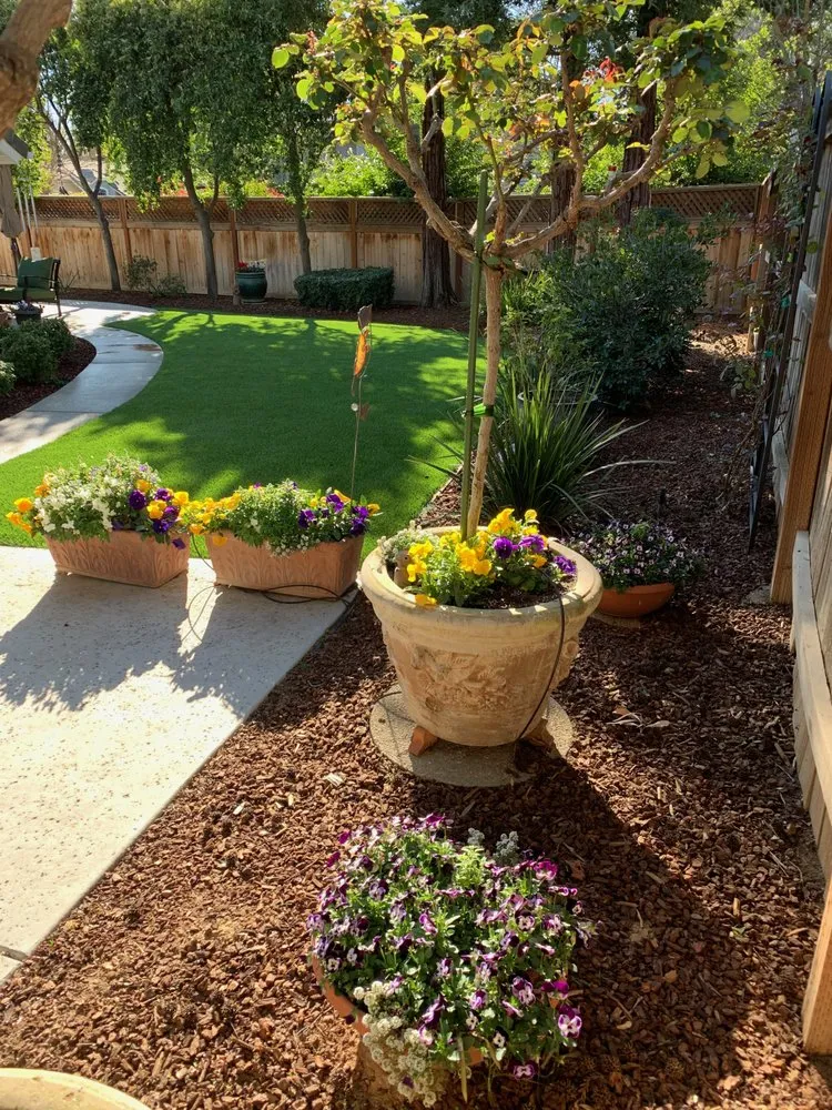 Affordable landscape installation experts serving Fresno, CA - Doug Fluter Landscaping