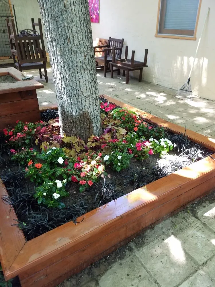 Local yard maintenance experts serving Fresno, CA - Doug Fluter Landscaping
