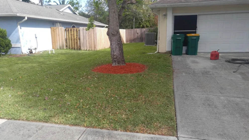 Top-rated yard maintenance experts serving Palm Bay, FL - Doug Scott Lawn Maintenance