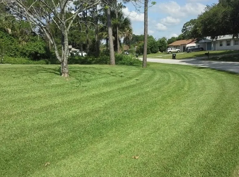 Local garden landscaping for homes across Palm Bay, FL - Doug Scott Lawn Maintenance