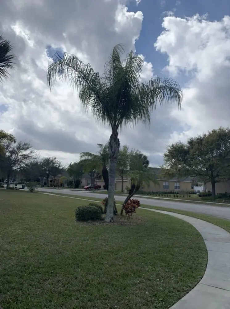 Custom landscape installation in Palm Bay, FL - Doug Scott Lawn Maintenance