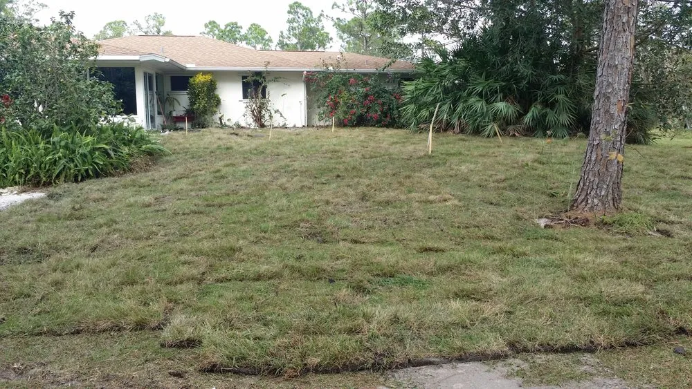 Local garden landscaping in Palm Bay, FL by Doug Scott Lawn Maintenance