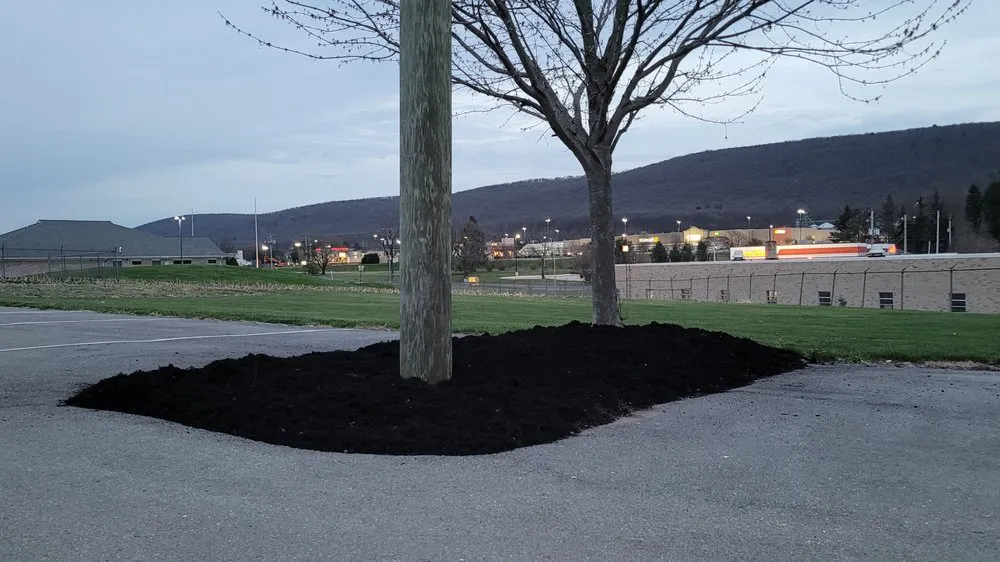 Expert yard maintenance for homes across Halifax, PA - Doughboy's Lawn Care and Snow Removal