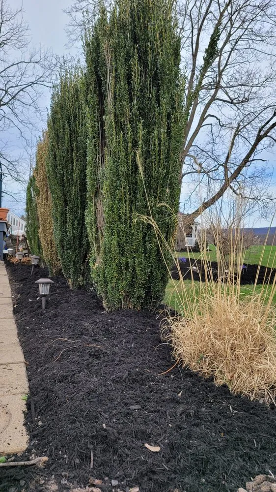 Professional outdoor landscaping in Halifax, PA by Doughboy's Lawn Care and Snow Removal