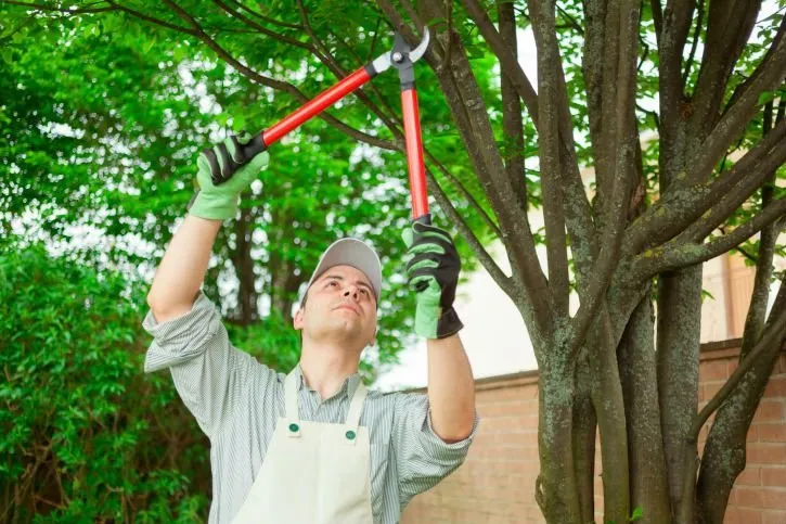 Expert outdoor landscaping for beautiful yards in Melfa, VA by Doughty's Lawn Care