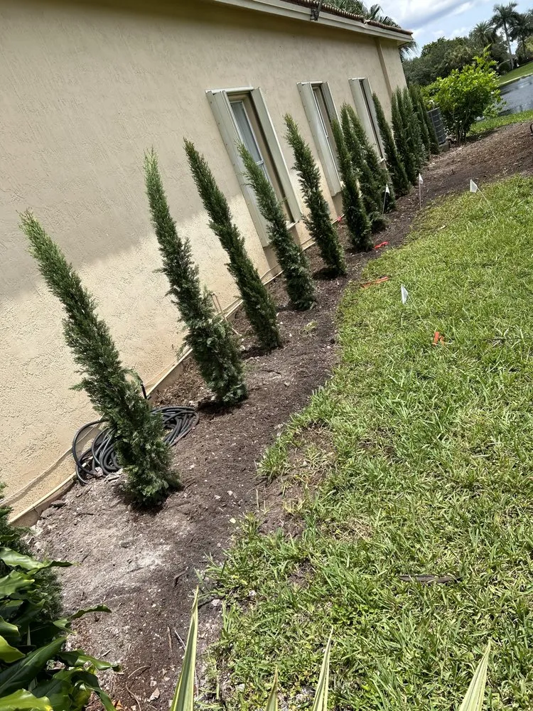 Top-rated lawn care service in Tamarac, FL - Dougies Landscaping