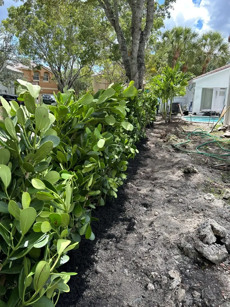 Affordable yard cleanup service for beautiful yards across Tamarac, FL - Dougies Landscaping