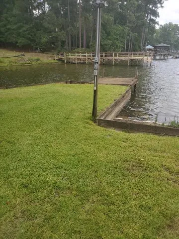 Trusted yard cleanup service in Ridgeway, SC by Douglas BCL