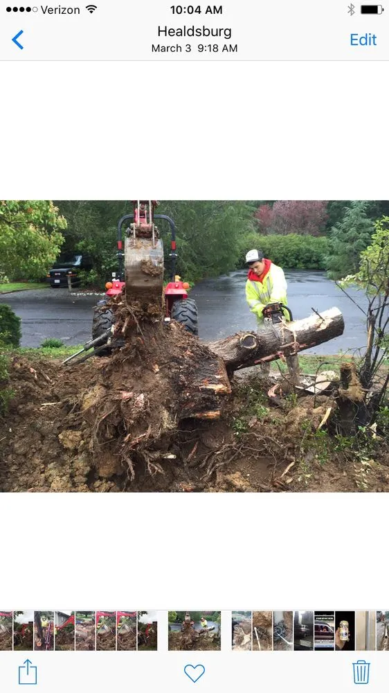 Professional landscaping services in Cazadero, CA by Douglas Construction