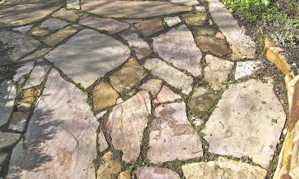 Custom outdoor landscaping in Berkeley, CA by Douglas Daven Garden