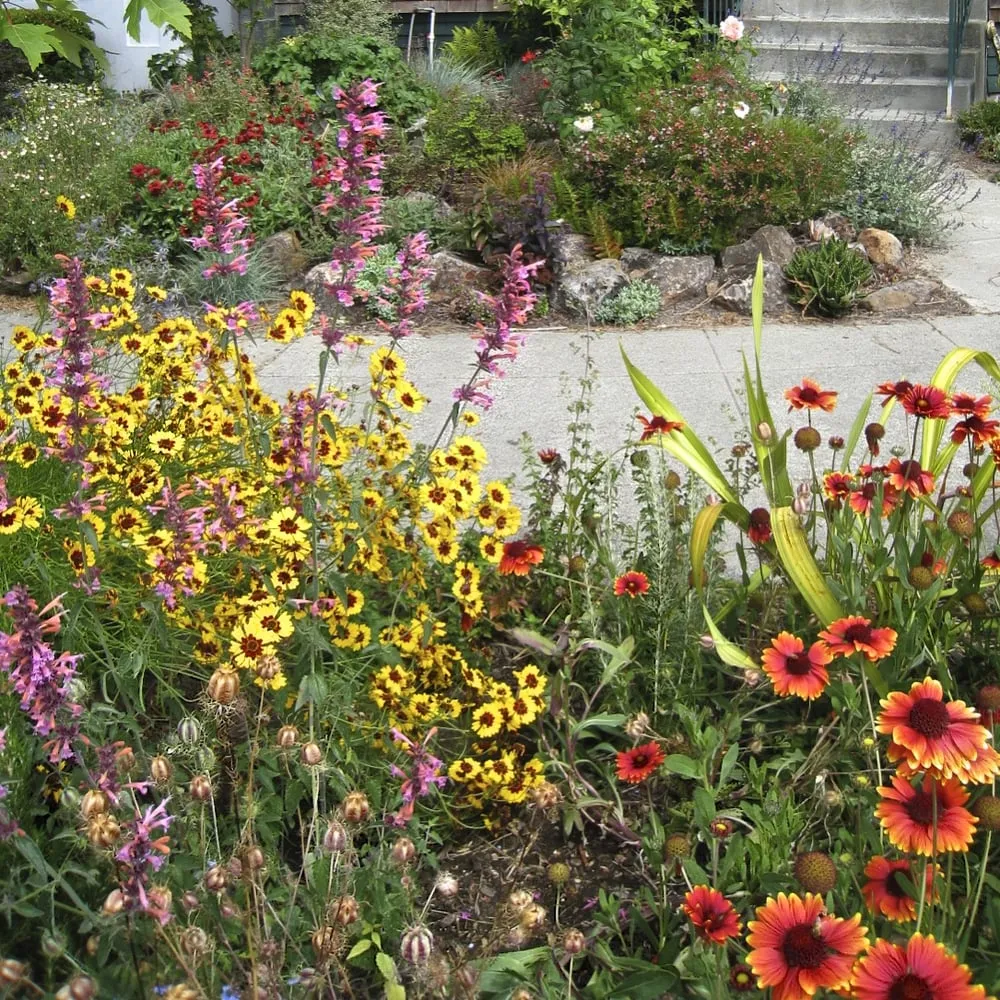Reliable landscaping services experts serving Berkeley, CA - Douglas Daven Garden