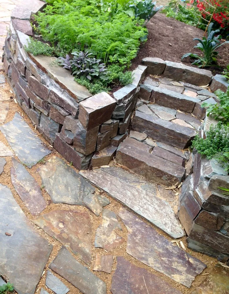 Professional yard cleanup service in Berkeley, CA - Douglas Daven Garden