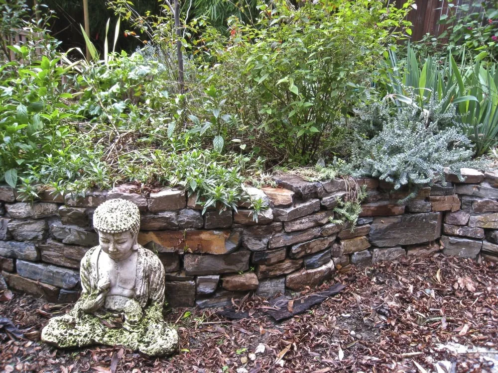 Affordable lawn care service for residential properties in Berkeley, CA by Douglas Daven Garden