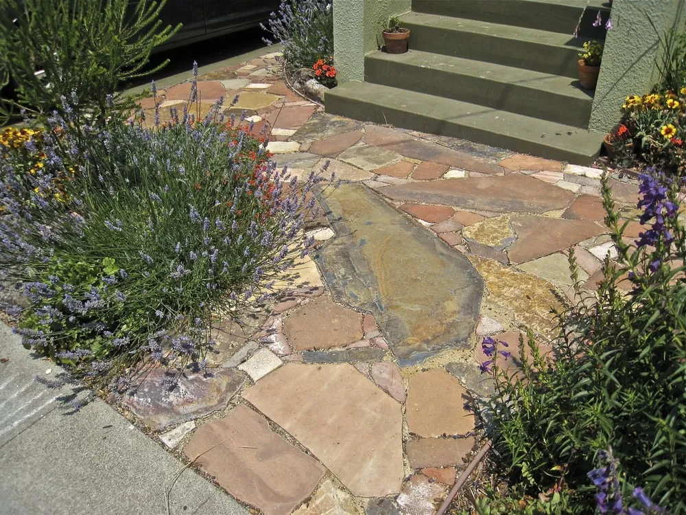 Expert landscape design experts serving Berkeley, CA - Douglas Daven Garden