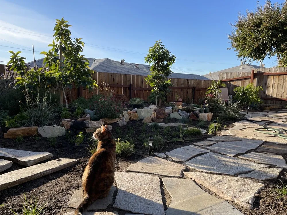 Local landscape installation experts serving Berkeley, CA - Douglas Daven Garden
