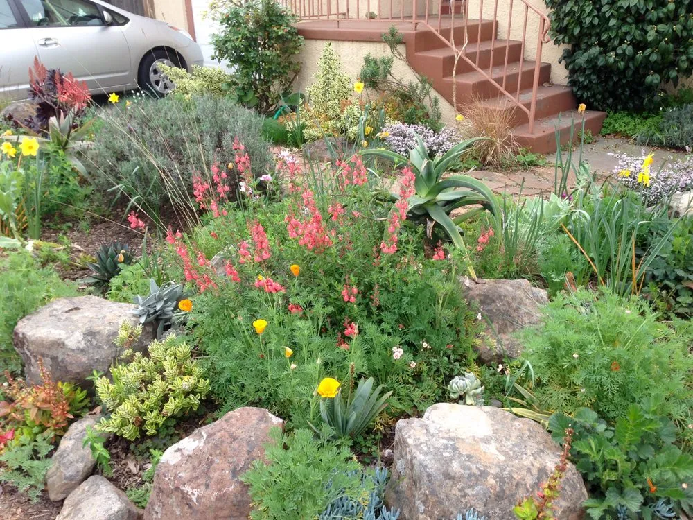 Professional landscape installation in Berkeley, CA by Douglas Daven Garden