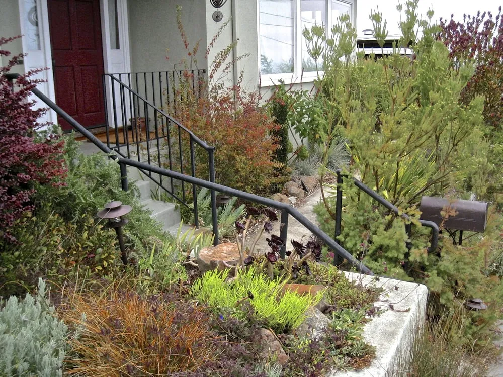 Affordable landscape design for year-round maintenance in Berkeley, CA by Douglas Daven Garden