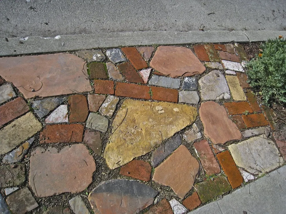 Top-rated landscaping services in Berkeley, CA by Douglas Daven Garden