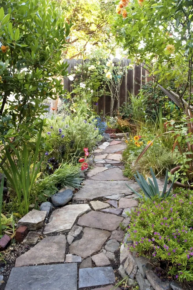 Affordable landscaping services in Berkeley, CA - Douglas Daven Garden