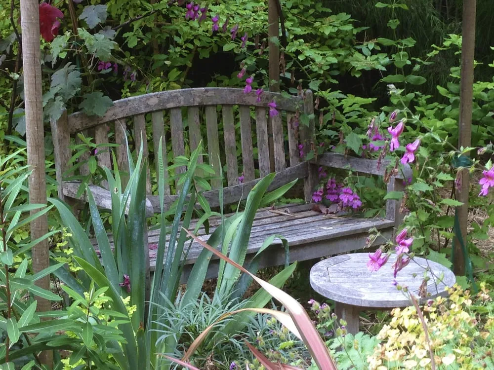 Local lawn mowing service with custom design across Berkeley, CA - Douglas Daven Garden