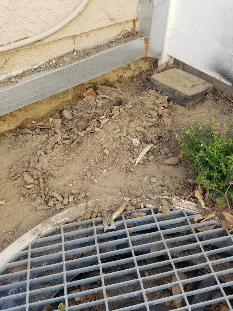 Expert yard maintenance with custom design in Capistrano Beach, CA by Douglas Landscape
