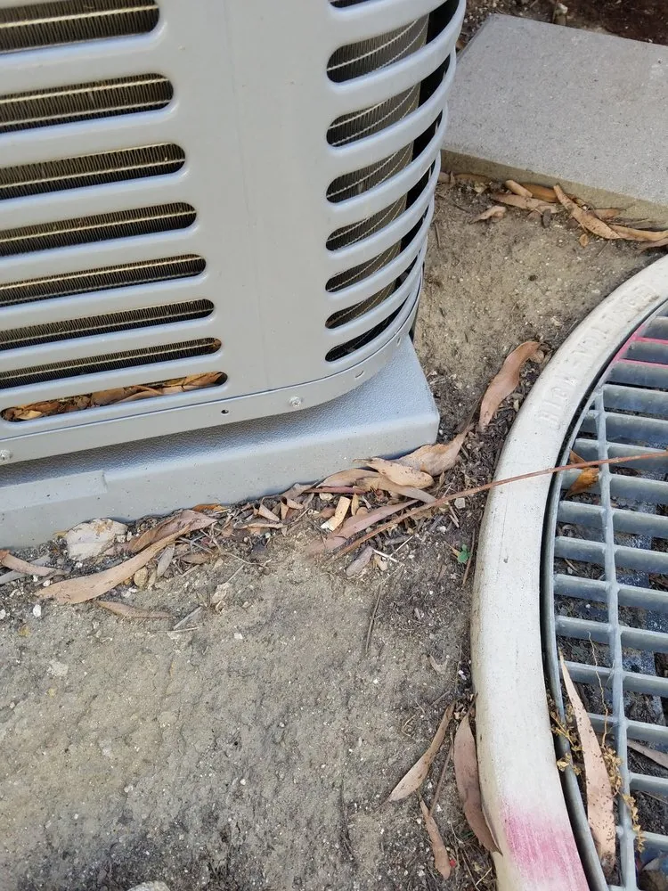 Custom yard maintenance in Capistrano Beach, CA by Douglas Landscape