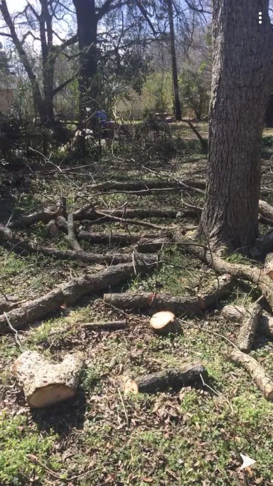 Custom yard cleanup service experts serving Fort Mill, SC - Douglas Landscape