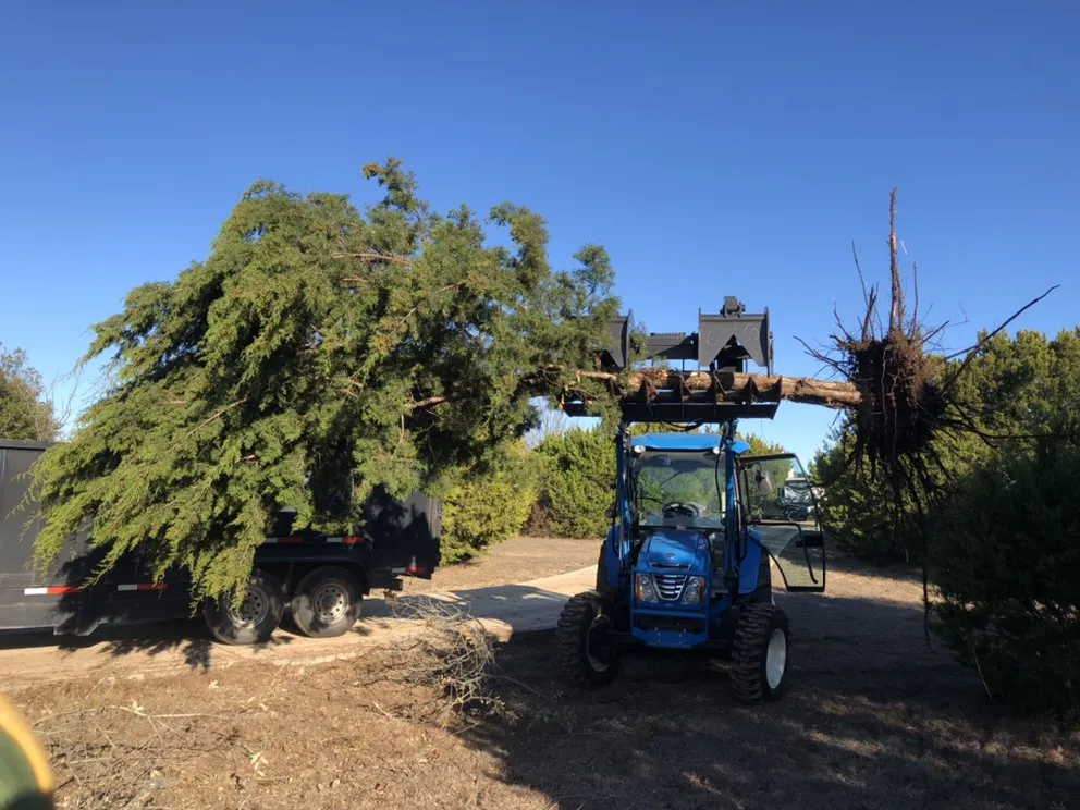 Local lawn mowing service experts serving Liberty Hill, TX - Douglas Landscapes