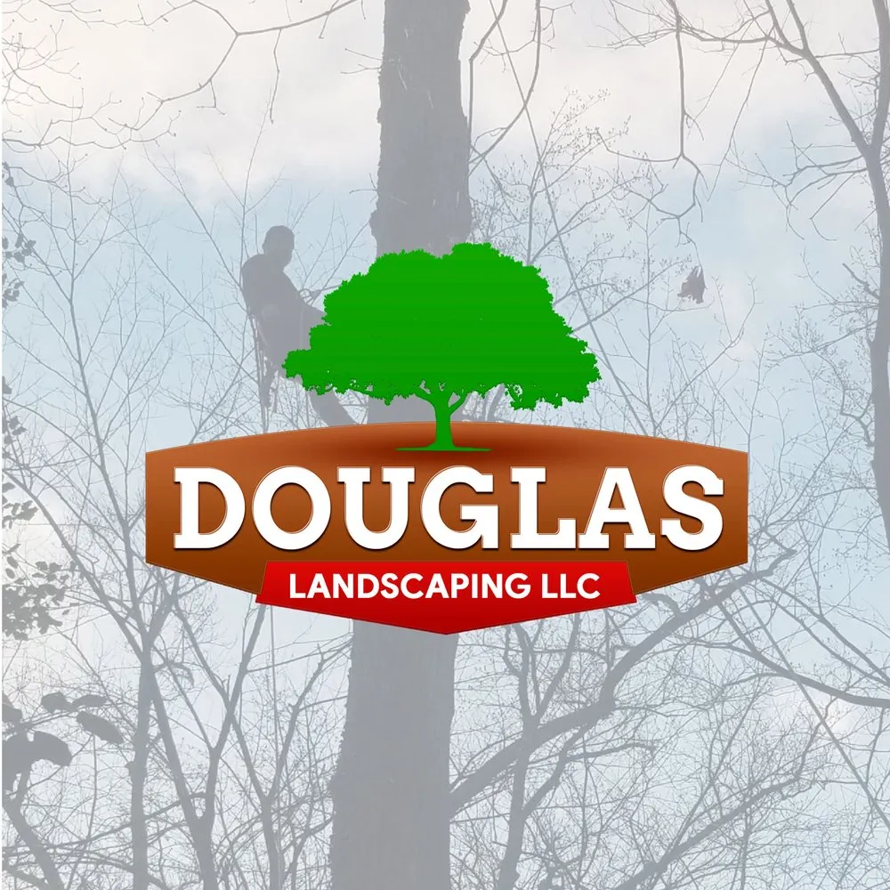 Professional outdoor landscaping in Annapolis, MD by Douglas Landscaping