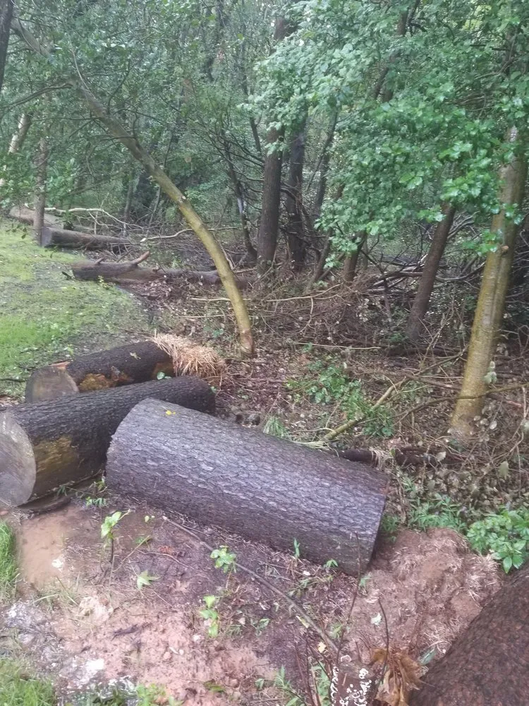 Custom landscape installation in Annapolis, MD - Douglas Landscaping