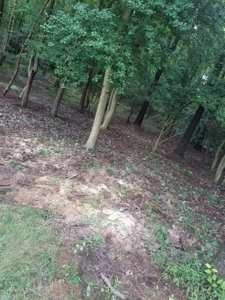 Top-rated outdoor landscaping for homes across Annapolis, MD - Douglas Landscaping