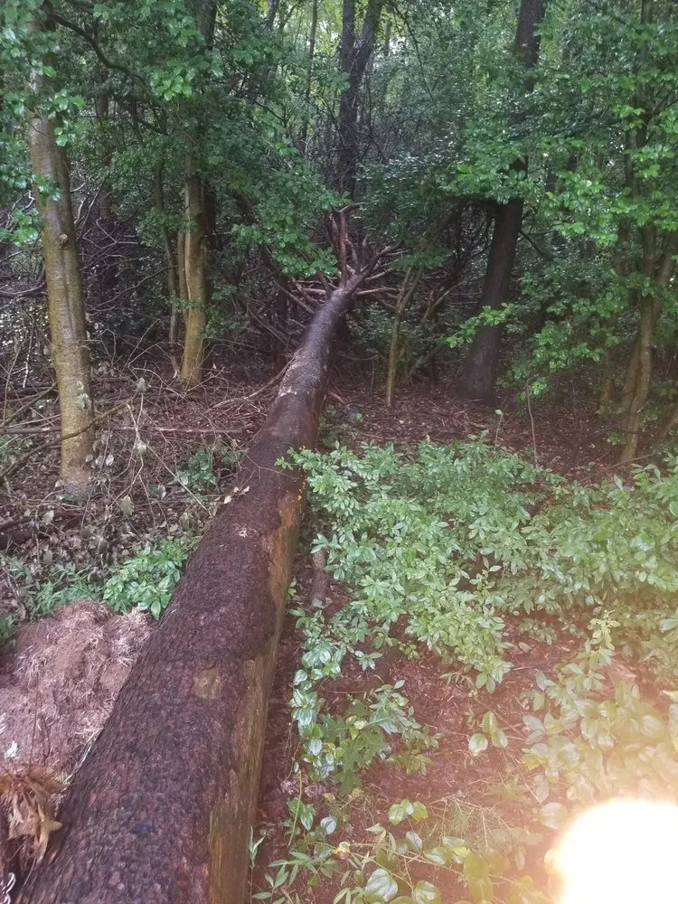 Trusted garden landscaping experts serving Annapolis, MD - Douglas Landscaping