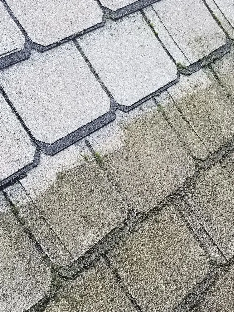 Local landscape installation in Annapolis, MD by Douglas Landscaping