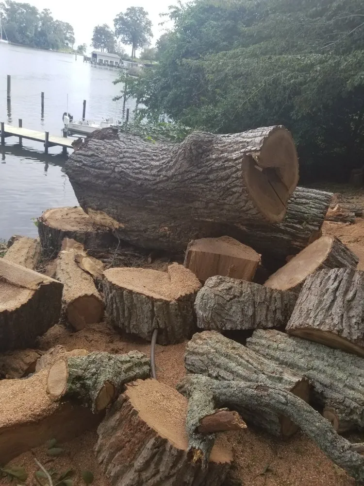 Affordable outdoor landscaping for outdoor upgrades in Annapolis, MD by Douglas Landscaping