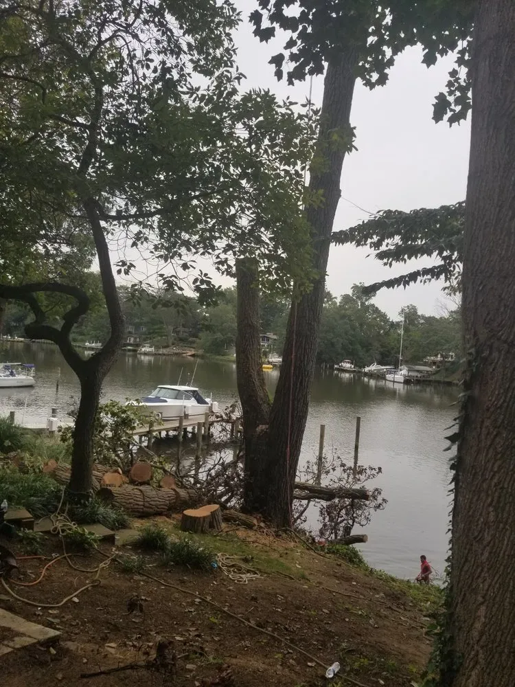 Trusted yard maintenance in Annapolis, MD - Douglas Landscaping